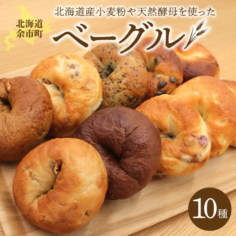 北海道産小麦使用！選べる楽しさ！ベーグル10種セット プレーン・チョコ・いちじく等 天然酵母_Y095-0012