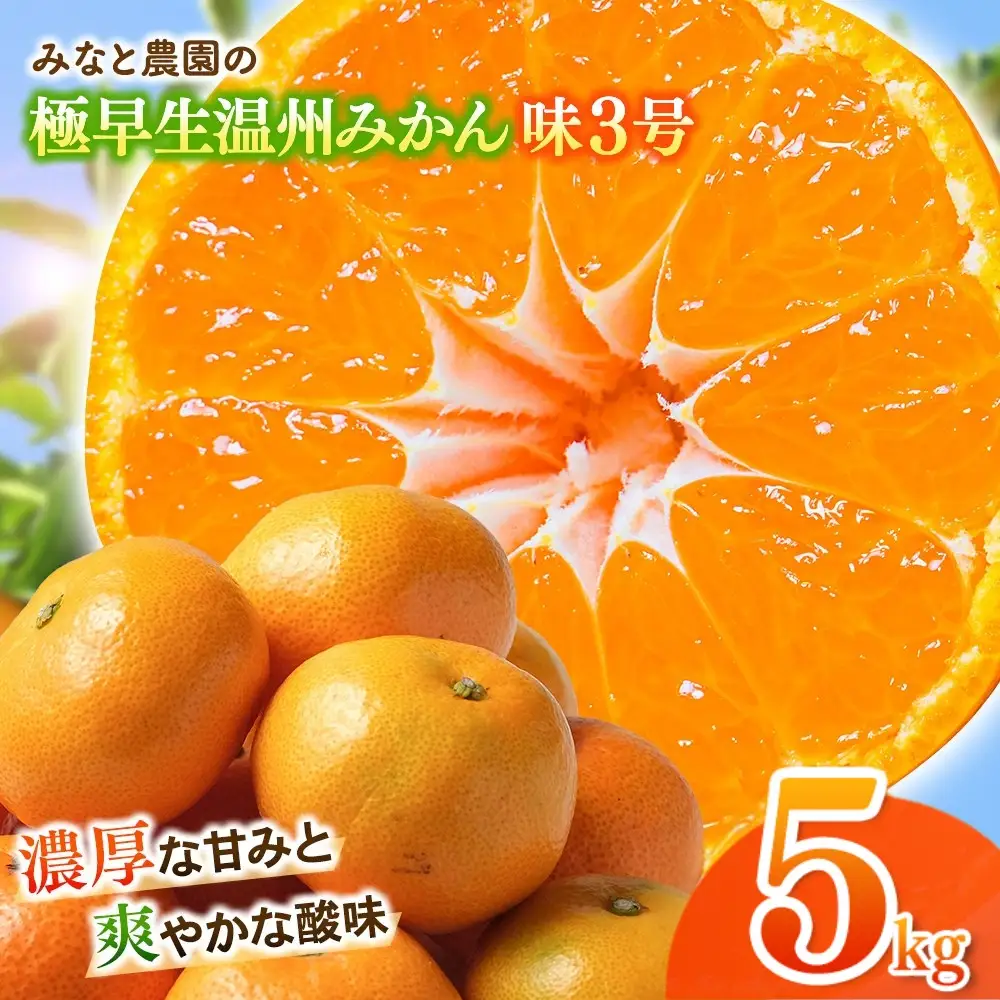 みかん 味3号 温州みかん 約5kg【mntf0005】