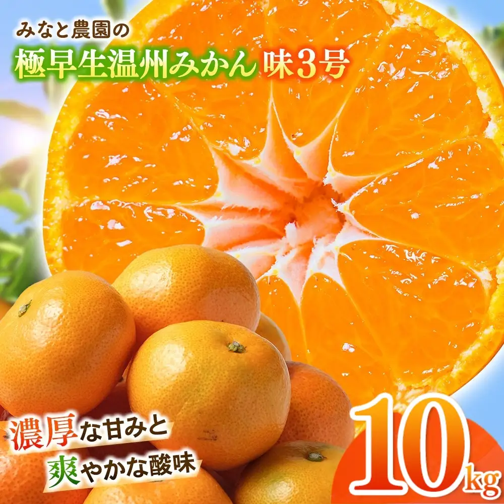 みかん 味3号 温州みかん 約10kg【mntf0006】