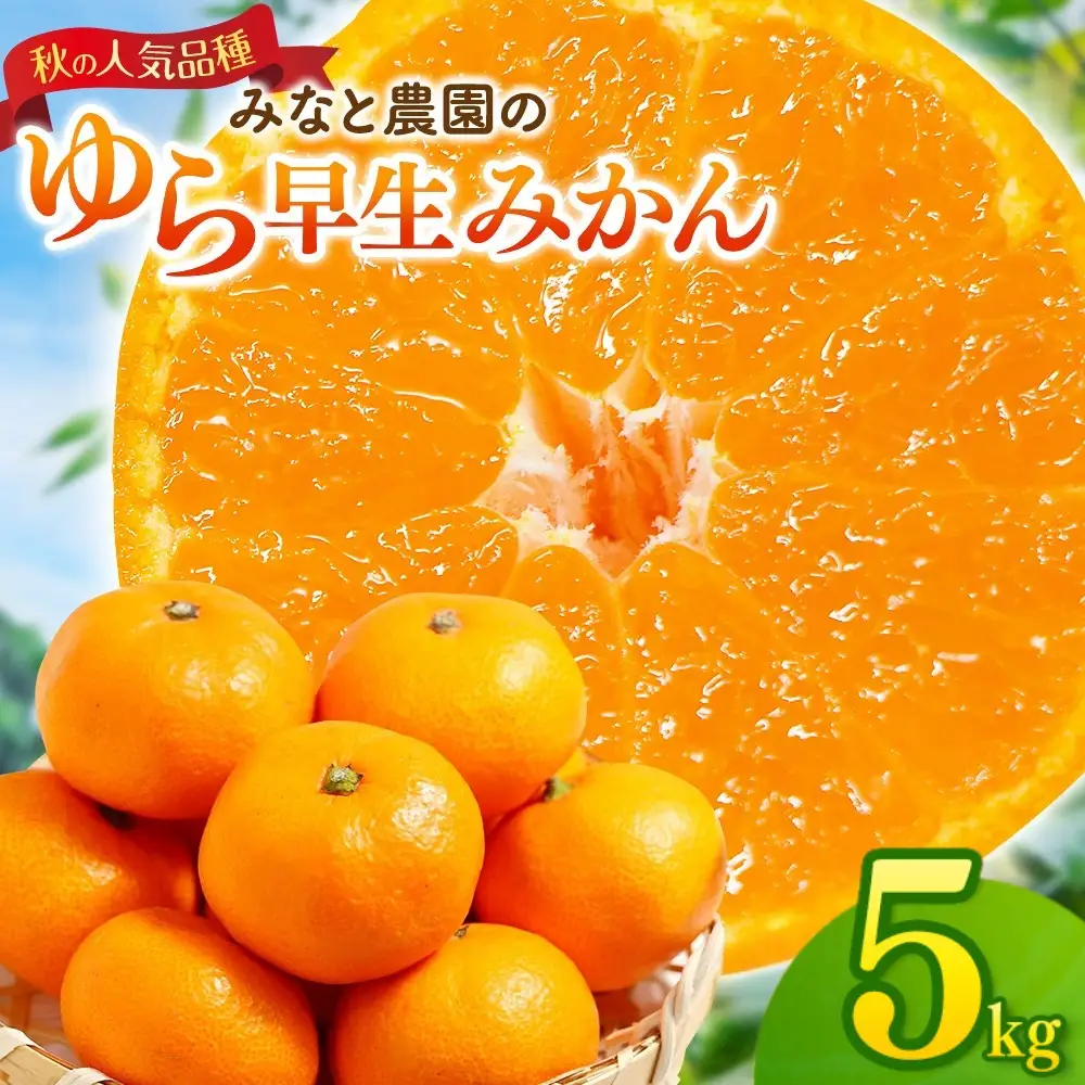 【数量限定】みかん ゆら早生みかん 約5kg【mntf0007】