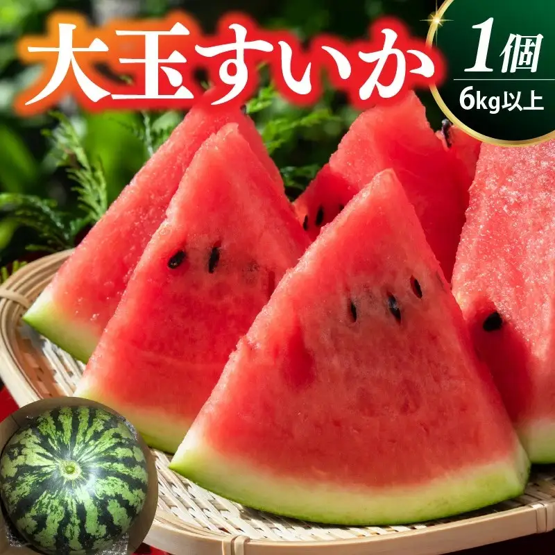 大玉すいか（祭りばやし）１個　0030-2624
