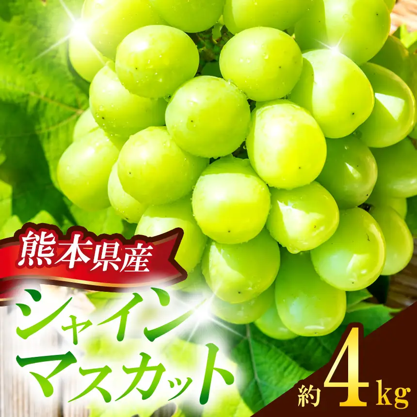 熊本県産 シャインマスカット 約4kg 『 かめまる食堂 』 種無し ぶどう