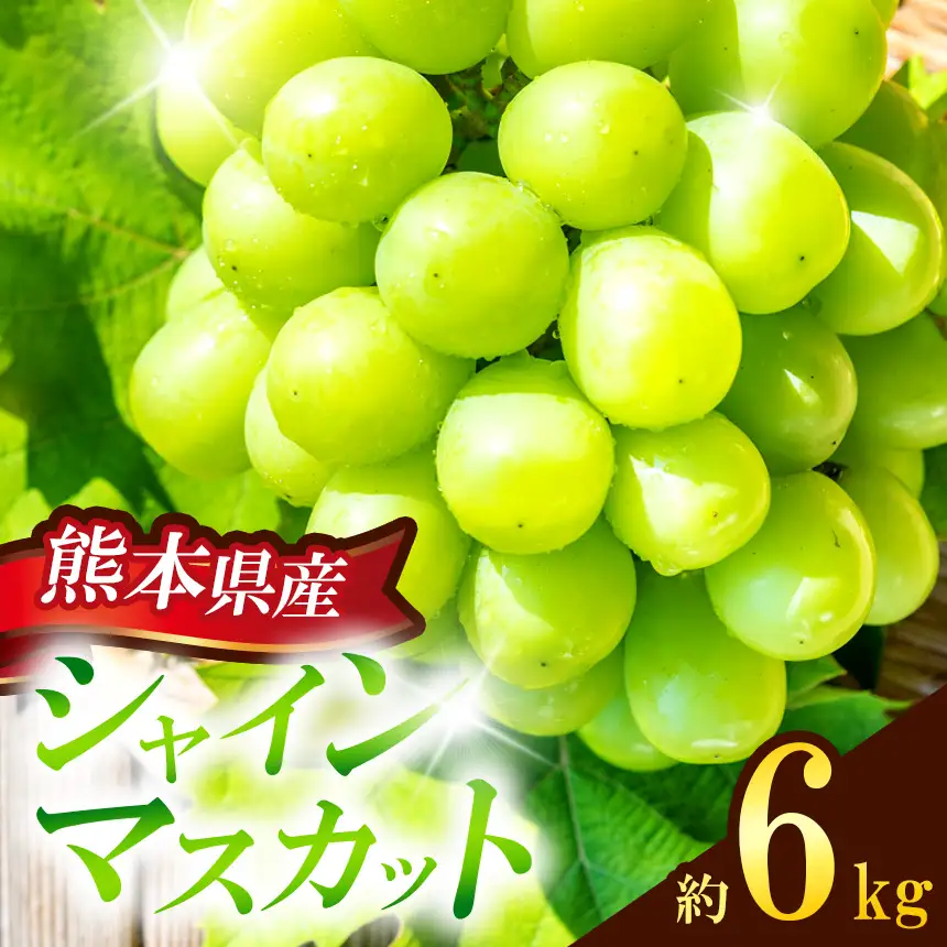 熊本県産 シャインマスカット 約6kg 『 かめまる食堂 』 種無し ぶどう