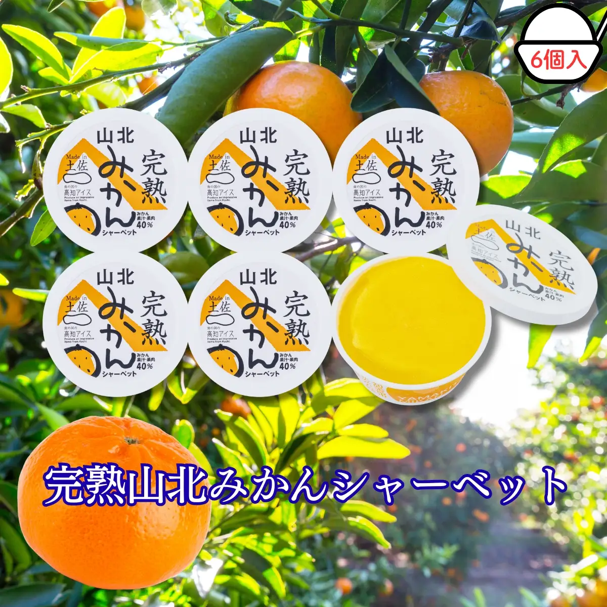 Made in 土佐★完熟山北みかんシャーベット6個（高知アイス）