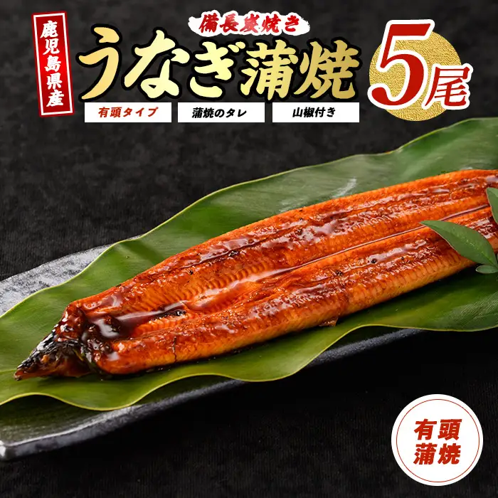 鹿児島産鰻蒲焼5尾 奈良 IB020-002 うなぎ うなぎ