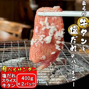 塩だれスライス牛タン 800g（400g×2パック）【2289】