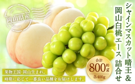 岡山県産 岡山白桃 エース Lサイズ 約200g×2玉・ シャインマスカット 晴王 約400g×1房 詰合せ 白桃 モモ もも 桃 ぶどう ブドウ 葡萄 マスカット くだもの 果物 果実 フルーツ 国産 家庭用 ギフト 贈り物 贈答 【 2026年7月上旬～8月下旬発送予定 】