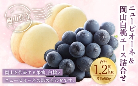 岡山県産 岡山白桃 エース 3Lサイズ 約300g×2玉・ ニューピオーネ 約600g×1房 詰合せ ぶどう ブドウ 葡萄 くだもの 果物 果実 フルーツ 国産 白桃 モモ もも 桃 家庭用 ギフト 贈り物 贈答 【 2026年7月上旬～8月下旬発送予定 】