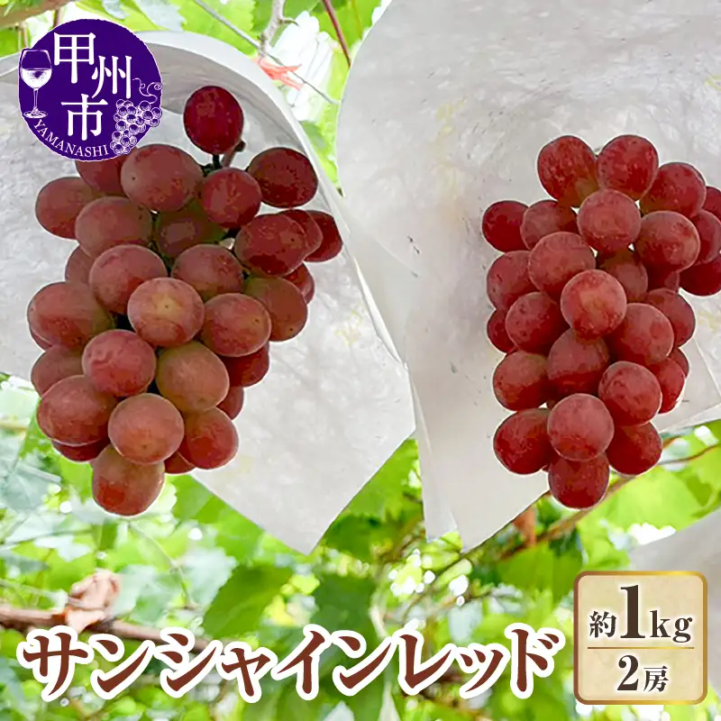 【クール配送】山梨県産サンシャインレッド2房（約1kg）【2026年発送】（KFT）C-1812 サンシャインレッド フルーツ