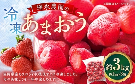 増永農園のあまおう冷凍いちご 約3kg あまおう 冷凍 いちご イチゴ 苺 国産 福岡県産 くだもの 果物 フルーツ 果実