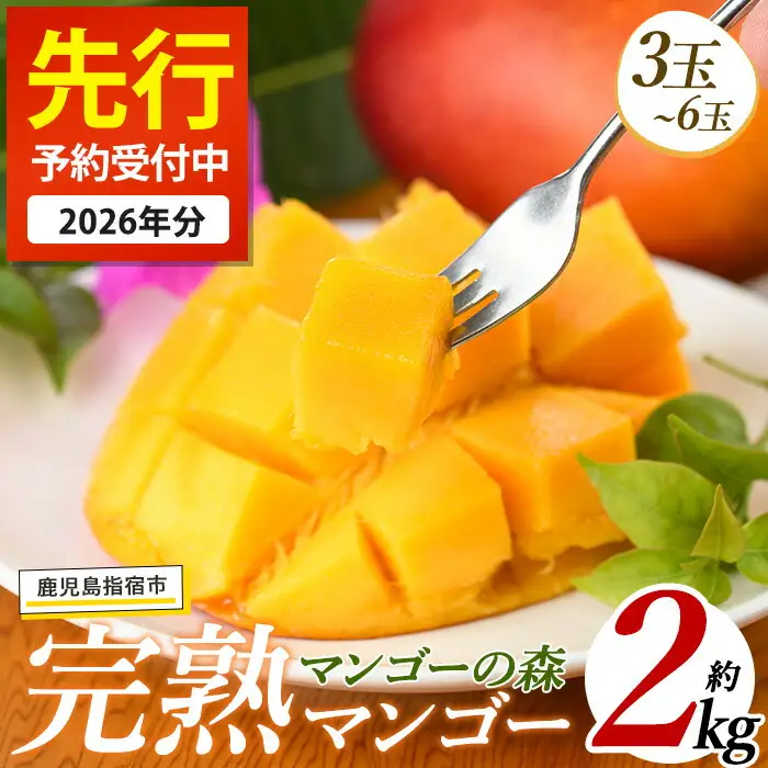 【2026年発送】しあわせ 完熟 マンゴー 3～6玉入 マンゴーの森 IB040-002 マンゴー フルーツ 果物