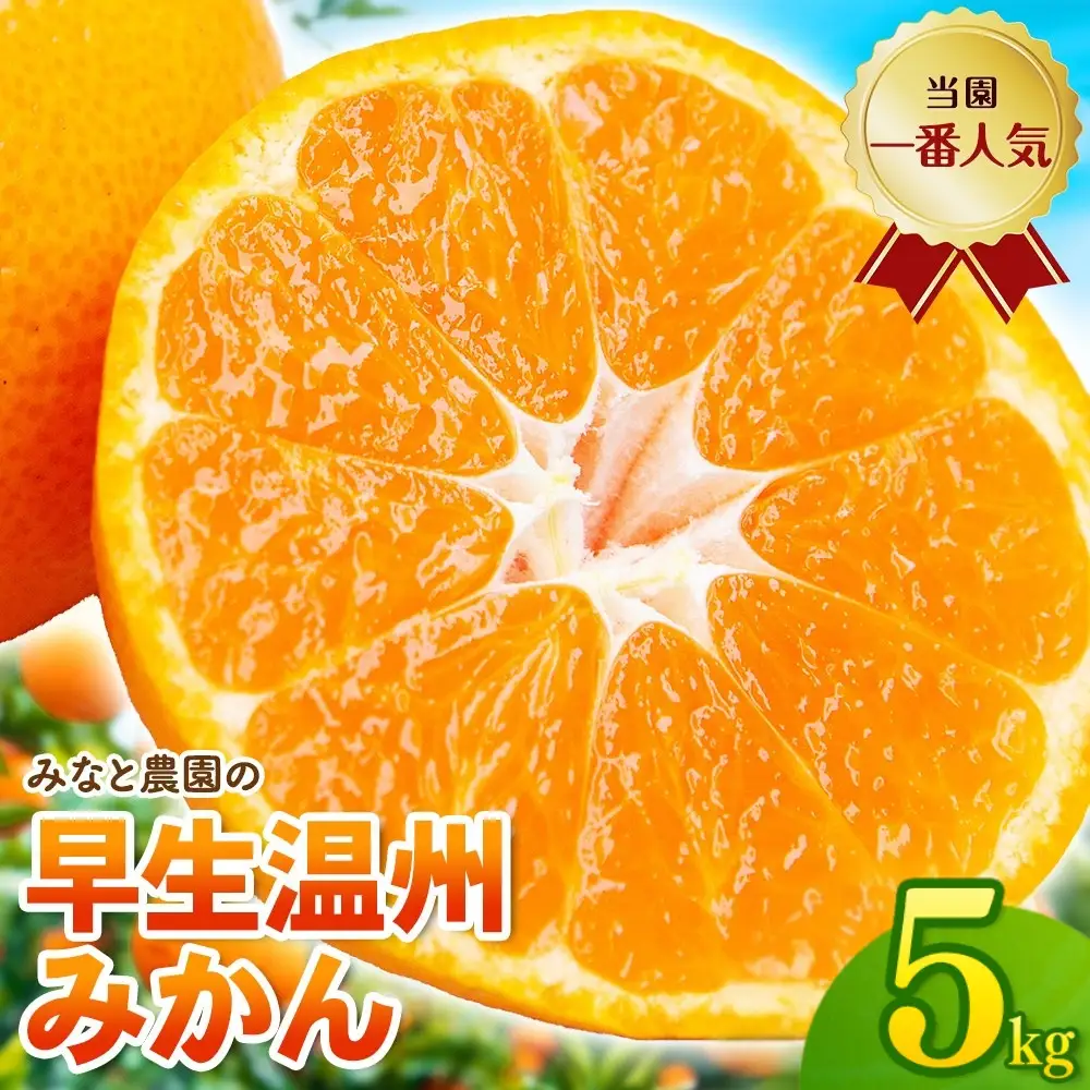 【数量限定】みかん 早生温州みかん 約5kg【mntf0009】