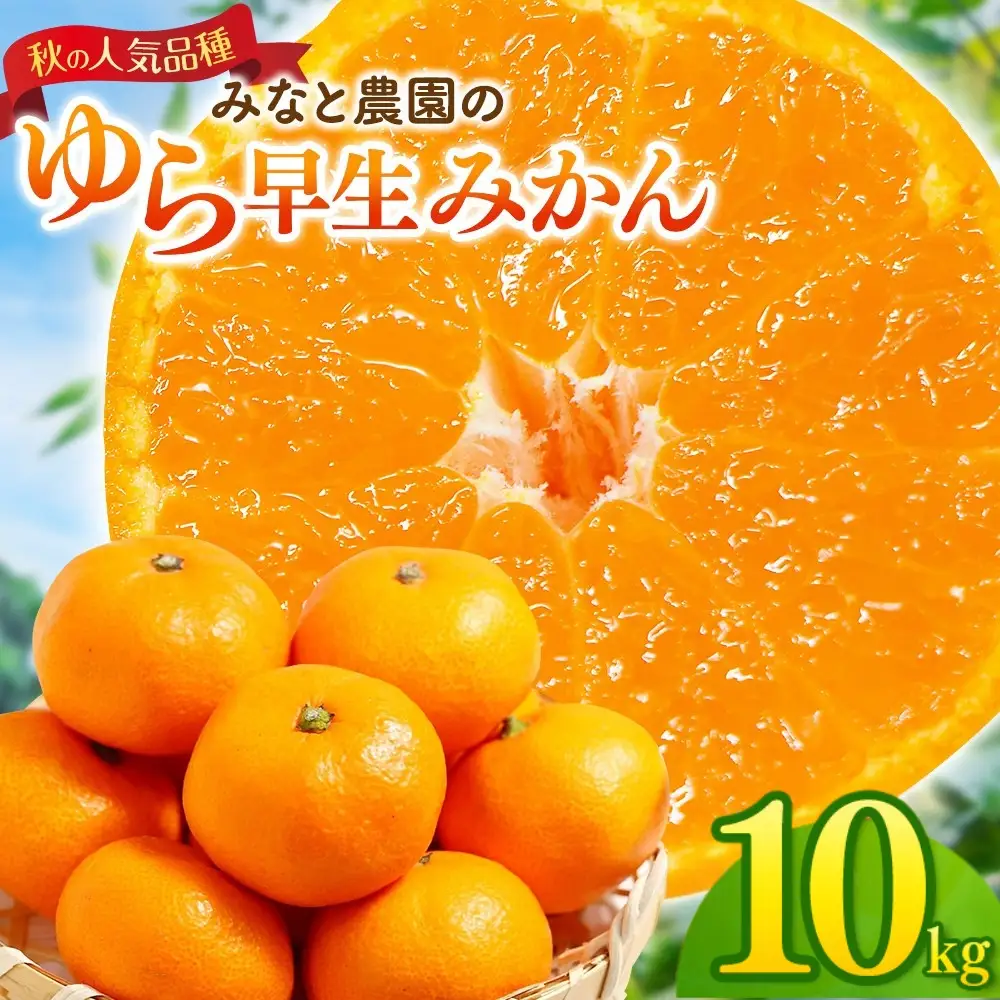 みかん ゆら早生みかん 約10kg【mntf0008】