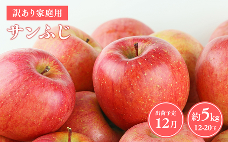≪令和8年産先行受付≫12月発送! 訳あり 家庭用サンふじ約5kg 青森県平川市産[hi-0038-003-12]