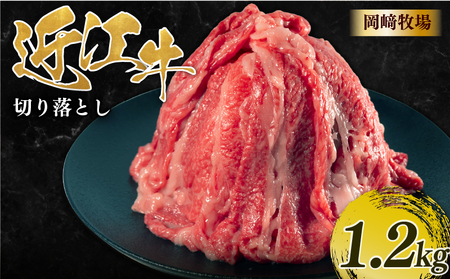 近江牛 切り落とし 1.2kg  200g×6パック 近江日野牛