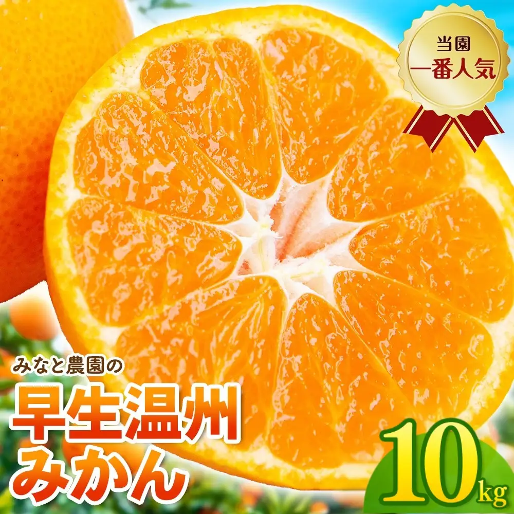 【数量限定】みかん 早生温州みかん 約10kg【mntf0010】