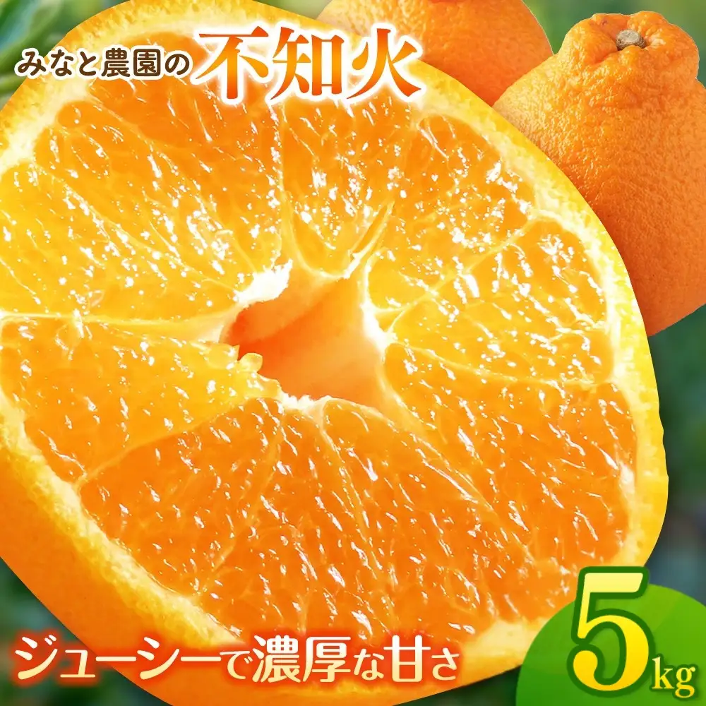 【先行予約】不知火 みなと農園の不知火 約5kg 【mntf0013】