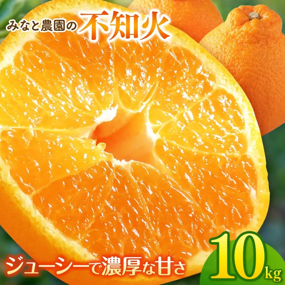 【先行予約】不知火 みなと農園の不知火 約10kg【mntf0014】