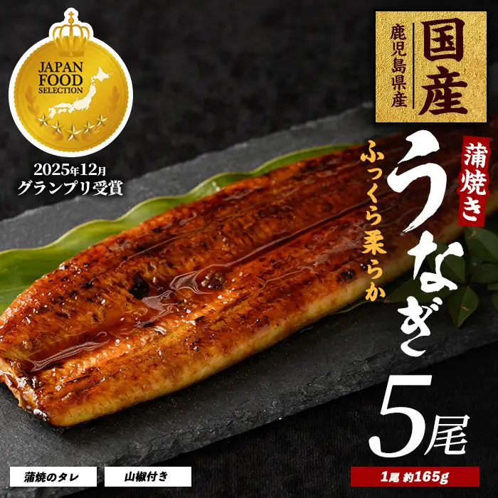 鹿児島県産 うなぎ蒲焼 じっくり焼き約165g×5尾 化粧箱入り 大新 IB021-002 うなぎ うなぎ 