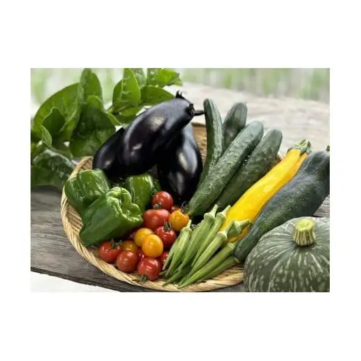 【先行予約受付中】無農薬　無化学肥料　無除草剤　夏のお野菜セット（旬の有機野菜5～10種類前後）
