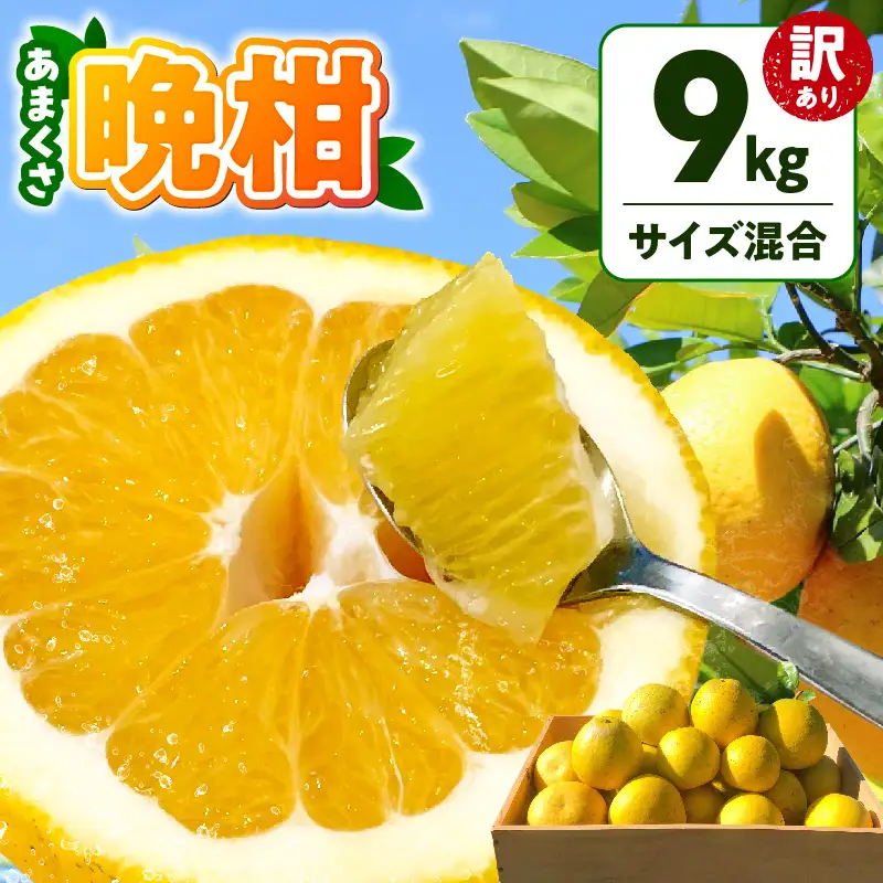 S097-006_【訳あり】あまくさ晩柑 9kg