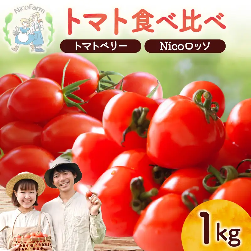 【先行予約】フルーツのように甘いミニトマト2種 各500g トマトベリー & Nicoロッソ_Y124-0020
