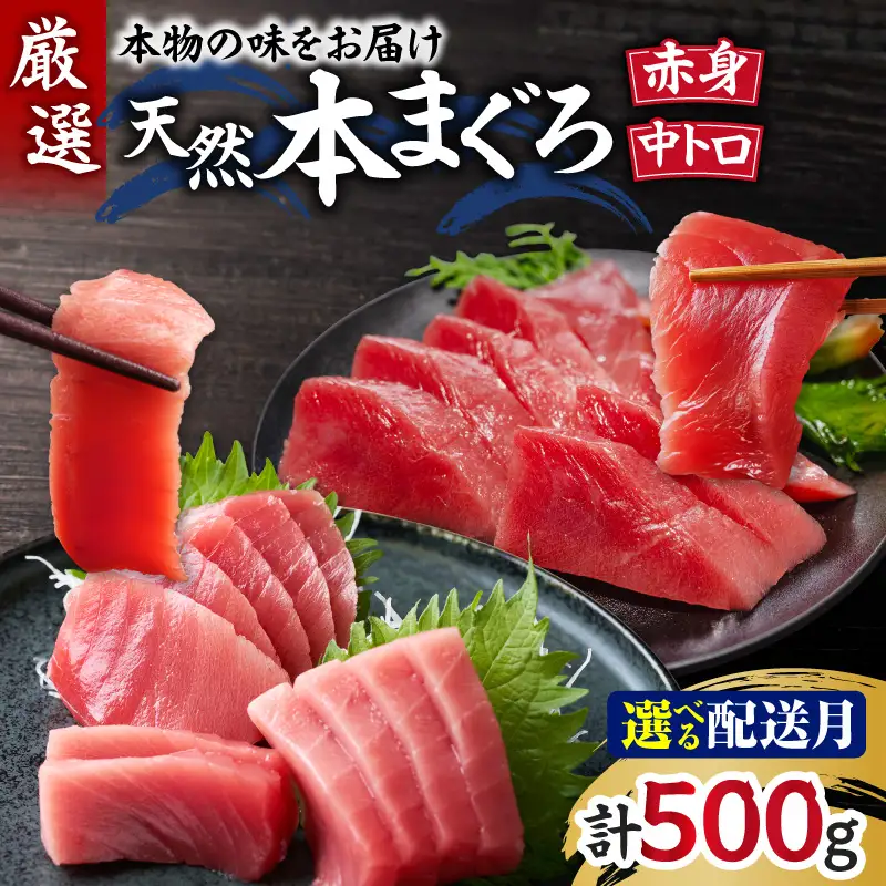＜選べる配送月＞ 本物 の 味 をお届け ！ 厳選 ！ 天然本鮪 中トロ ・ 赤身 セット M005-021 冷凍 マグロ