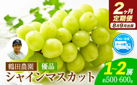 【2ヶ月定期便】【優品】先行予約 シャインマスカット 鶴田農園 約500-600g (1-2房) /月×2回 熊本県荒尾市産《8月下旬-9月下旬頃出荷》熊本県 荒尾市 フルーツ 果物 送料無料 葡萄 ぶどう マスカット