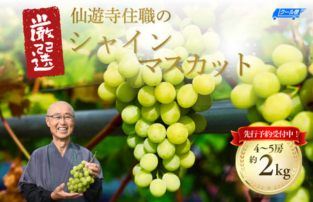 【先行予約】仙遊寺 シャインマスカット 約2kg（家庭用）【V003810K2】
