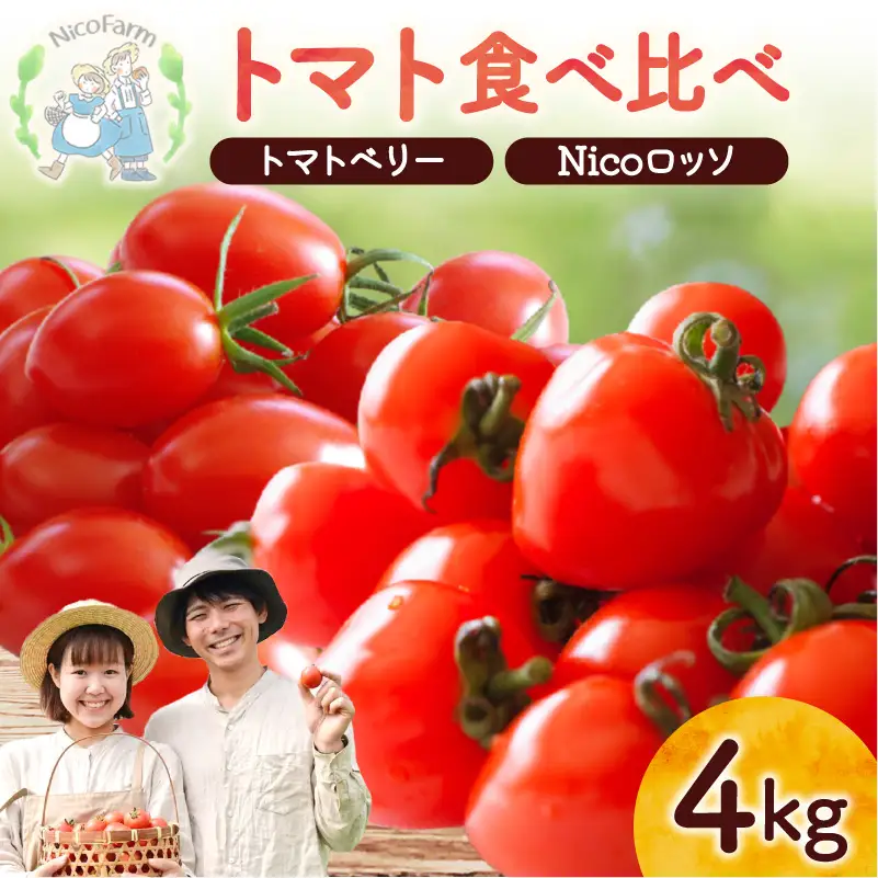 【先行予約】フルーツのように甘いミニトマト2種 各2kg トマトベリー & Nicoロッソ_Y124-0023