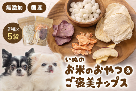 いぬのお米のおやつ25g×3袋 いぬのご褒美チップス20g×2袋 ペットフード 犬 無添加 おやつ 美味しい ご褒美 ドッグフード いぬ 犬用 いぬ用 愛犬用 R030-014