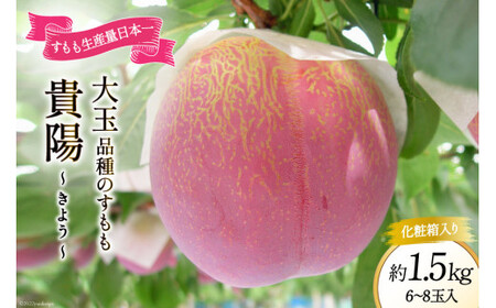 すもも 貴陽 約1.5kg 化粧箱入 6-8玉《7月前半から順次お届け》[JAふえふき 山梨県 中央市 21470470] フルーツ 果物 くだもの 1.5キロ 季節限定 期間限定 数量限定 山梨 山梨県産【2026年7月上旬～7月下旬発送予定】