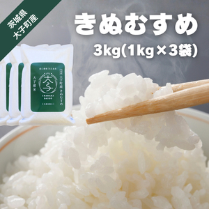 【数量限定】大子産米 きぬむすめ3kg｜茨城県 大子町 奥久慈 銘柄 白米 精米 ご飯 令和7年産(AV056)