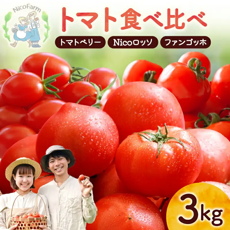 【先行予約】樹上完熟！トマト3種食べ比べ 各1kg ミニ・中玉トマトセット_Y124-0024