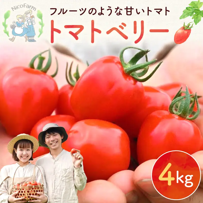 【先行予約】まるでフルーツ！ハート型 トマトベリー 4kg 果肉たっぷりトマト_Y124-0025