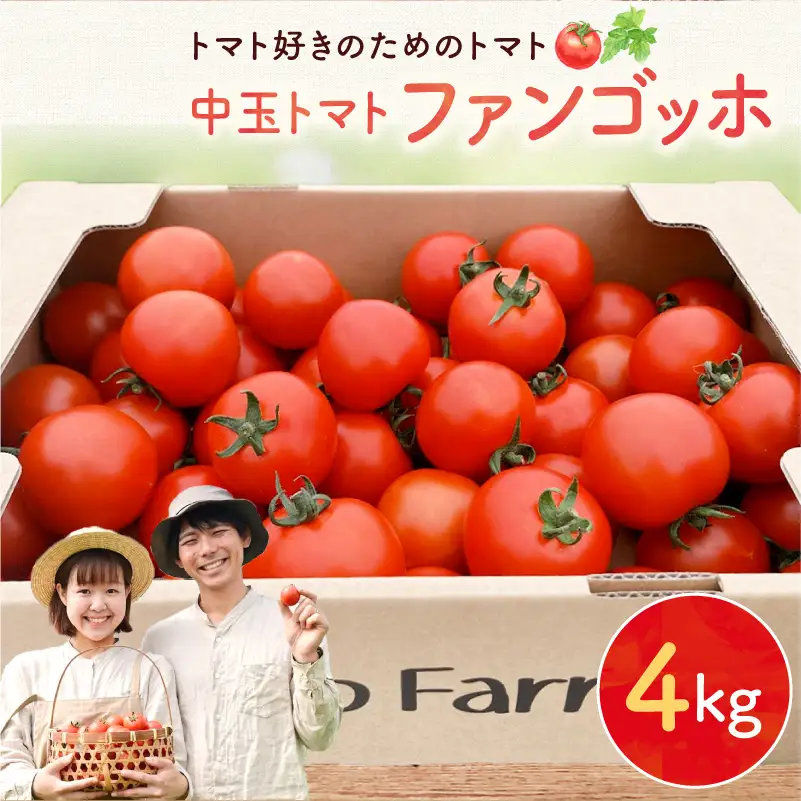 【先行予約】トマト好き必見！ファンゴッホ 4kg 肉厚中玉トマト_Y124-0027