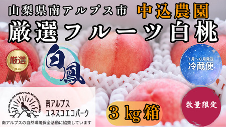 ＜2026年発送先行予約＞ 山梨県南アルプス市産 厳選桃 (白鳳) 3kg ALPEM009