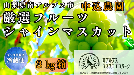 ＜2026年発送先行予約＞ 山梨県南アルプス市産 厳選シャインマスカット 3kg ALPEM011