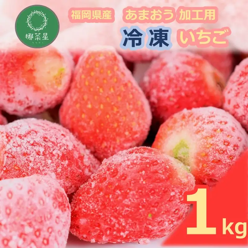 自然栽培 福岡県産あまおう加工用(冷凍) 1kg【A9-022】