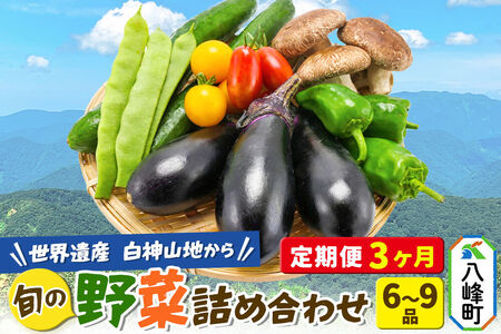 野菜詰合せ  【先行受付】《定期便3回 隔月 7月／9月／11月にお届け》6～9品程度 （計8～10kg程度）自然で採れた旬の野菜！！世界遺産「白神山地」の旬野菜