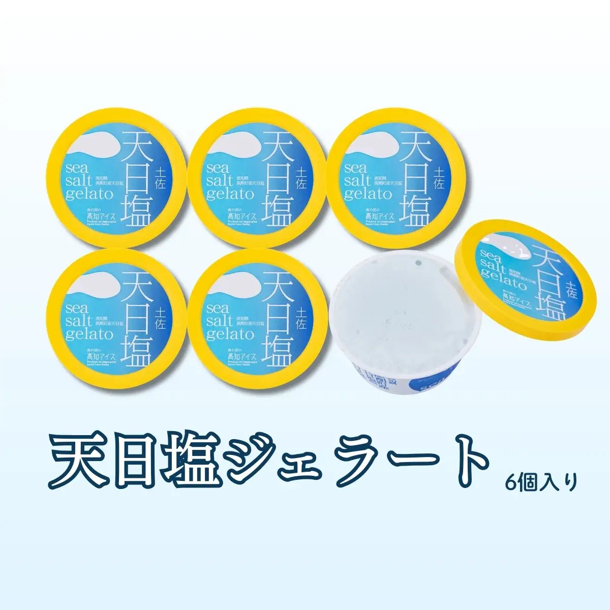 Made in 土佐★天日塩ジェラート6個（高知アイス）