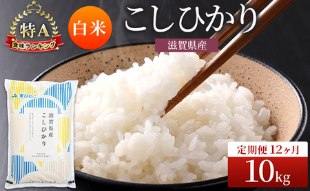 コシヒカリ 白米 10kg 定期 12回　米 コメ お米 こめ 精米 こしひかり 滋賀県 豊郷町