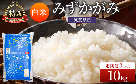 みずかがみ 白米 10kg 定期 3回　米 コメ お米 こめ 精米 ミズカガミ 滋賀県 豊郷町