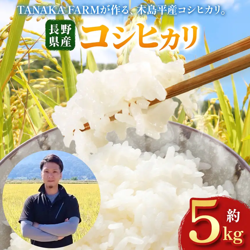 木島平産コシヒカリ 約5kg | 米 こしひかり コシヒカリ 定番 品種 特別栽培 寒暖差 木島平村 長野県 信州 コシヒカリ