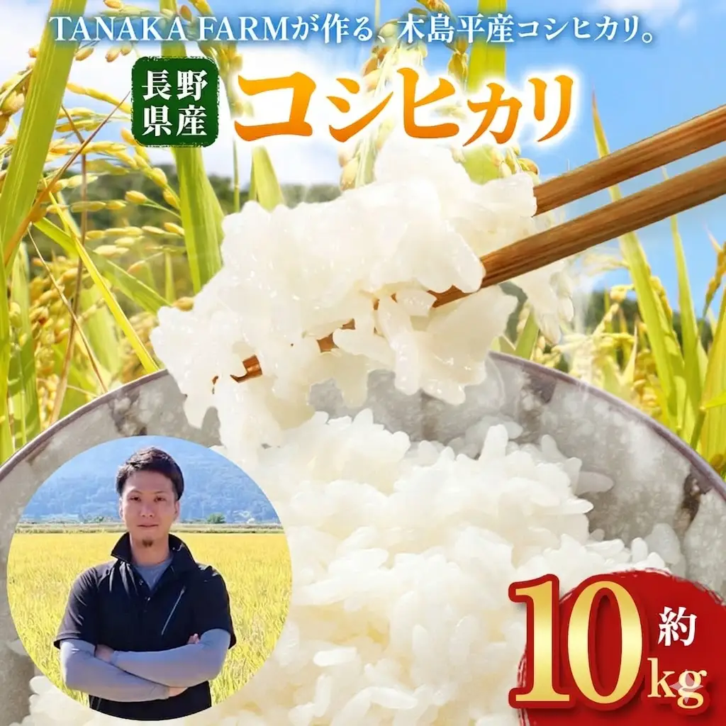 木島平産 こしひかり 10kg | 米 こしひかり コシヒカリ 定番 品種 特別栽培 寒暖差 木島平村 長野県 信州 コシヒカリ
