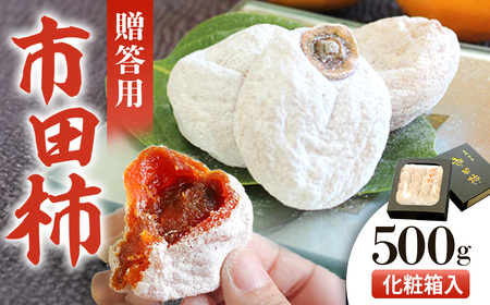 【2027年発送先行予約】市田柿　化粧箱約500g　贈答用　＜2027年1月中旬～1月下旬頃発送予定＞　干し柿｜かき｜カキ｜長野県産