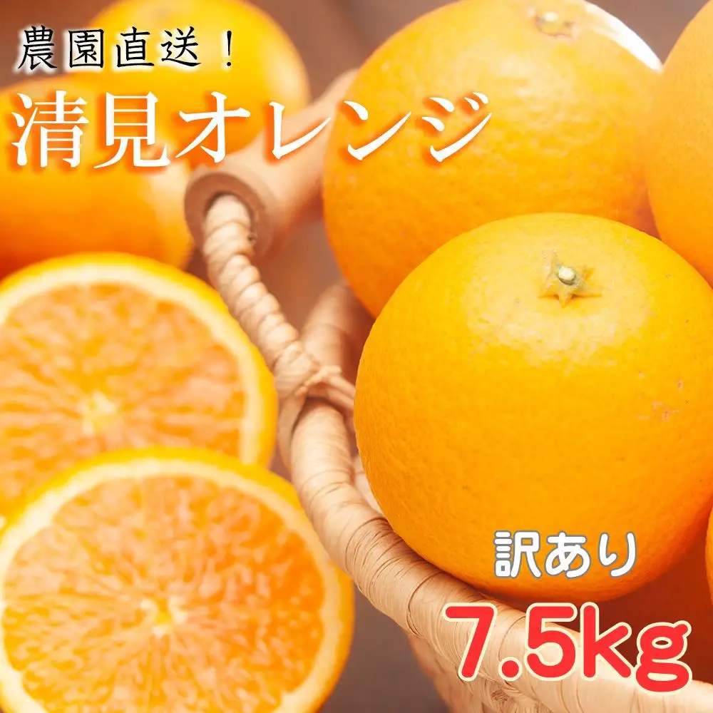 訳あり 清見オレンジ 混合 7.5Kg【令和9年3月から発送】清見オレンジ