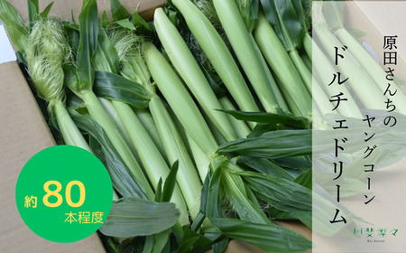 【数量限定】先行予約 原田さんちのヤングコーン ドルチェドリーム 80本入り