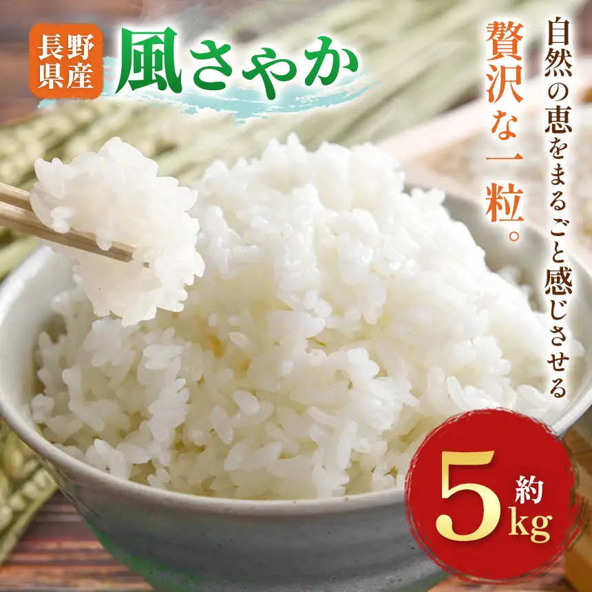 木島平村産 風さやか 約5kg | 米 こしひかり コシヒカリ 定番 品種 特別栽培 寒暖差 木島平村 長野県 信州 コシヒカリ 特別栽培米