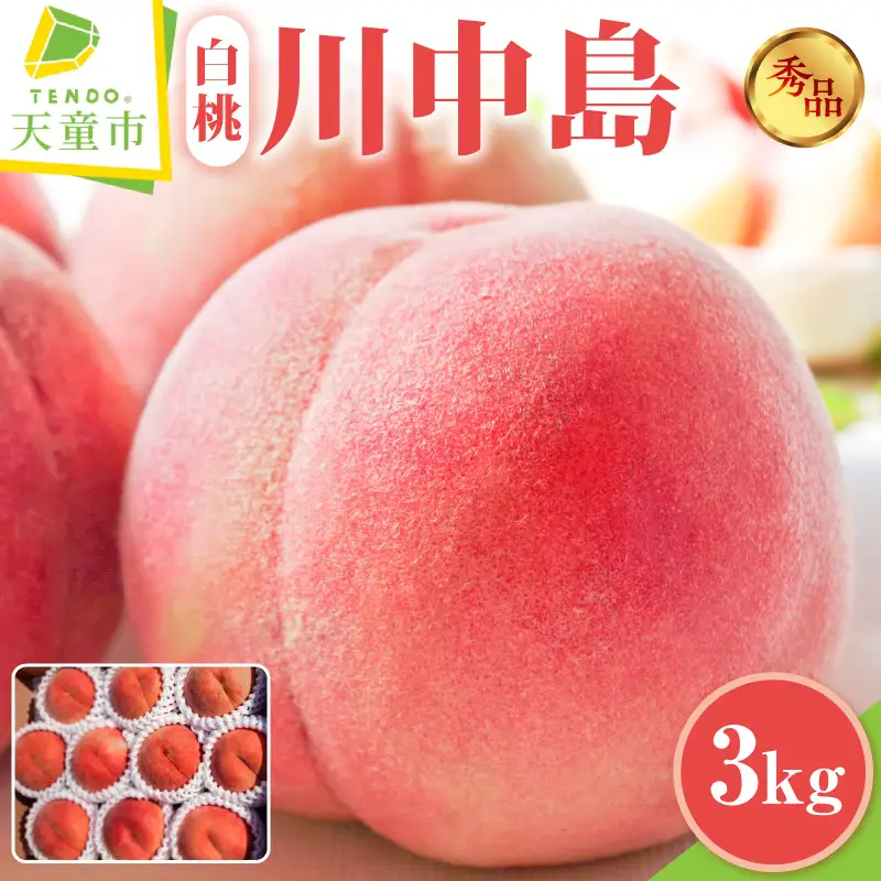 もも ( 川中島白桃 ) 3kg フルーツ 果物 山形 08-45-009